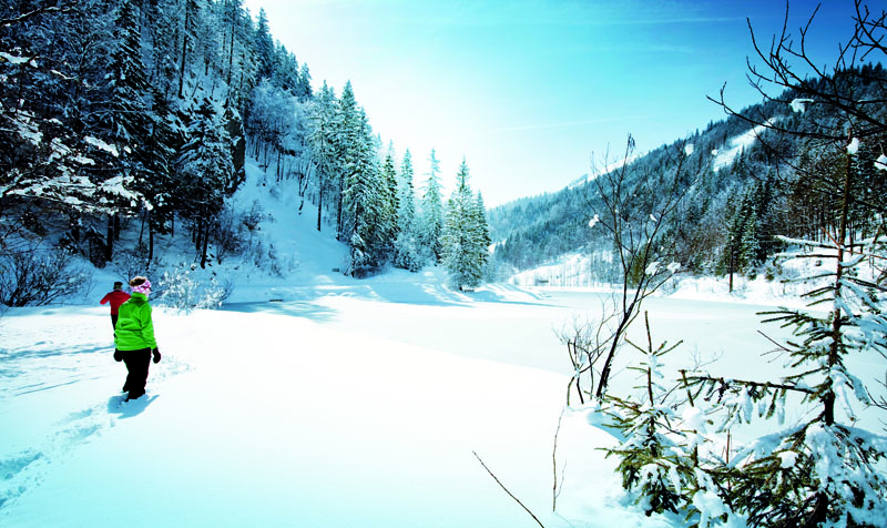 Winterwandern in traumhafter Natur