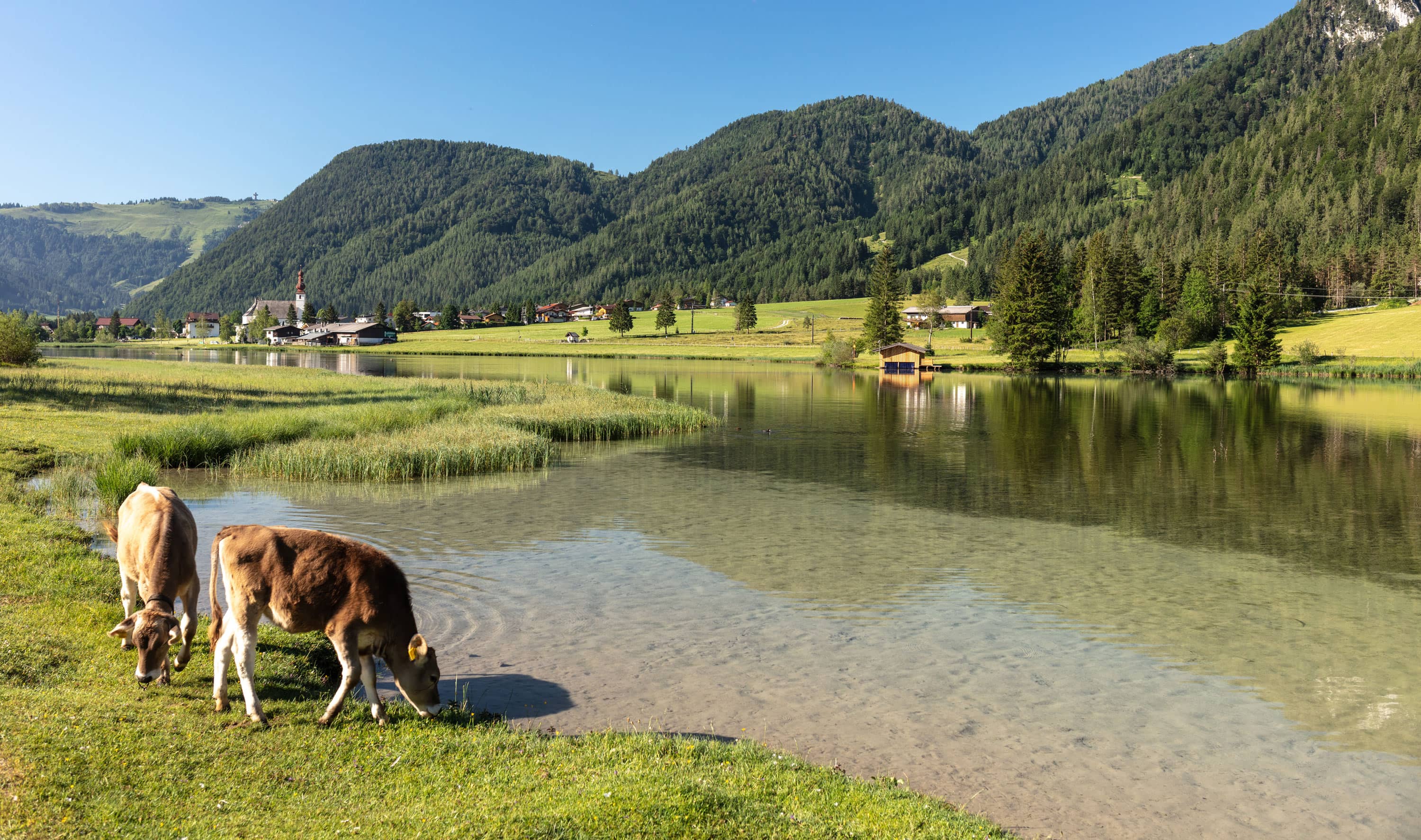 st-ulrich-am-pillersee.jpg