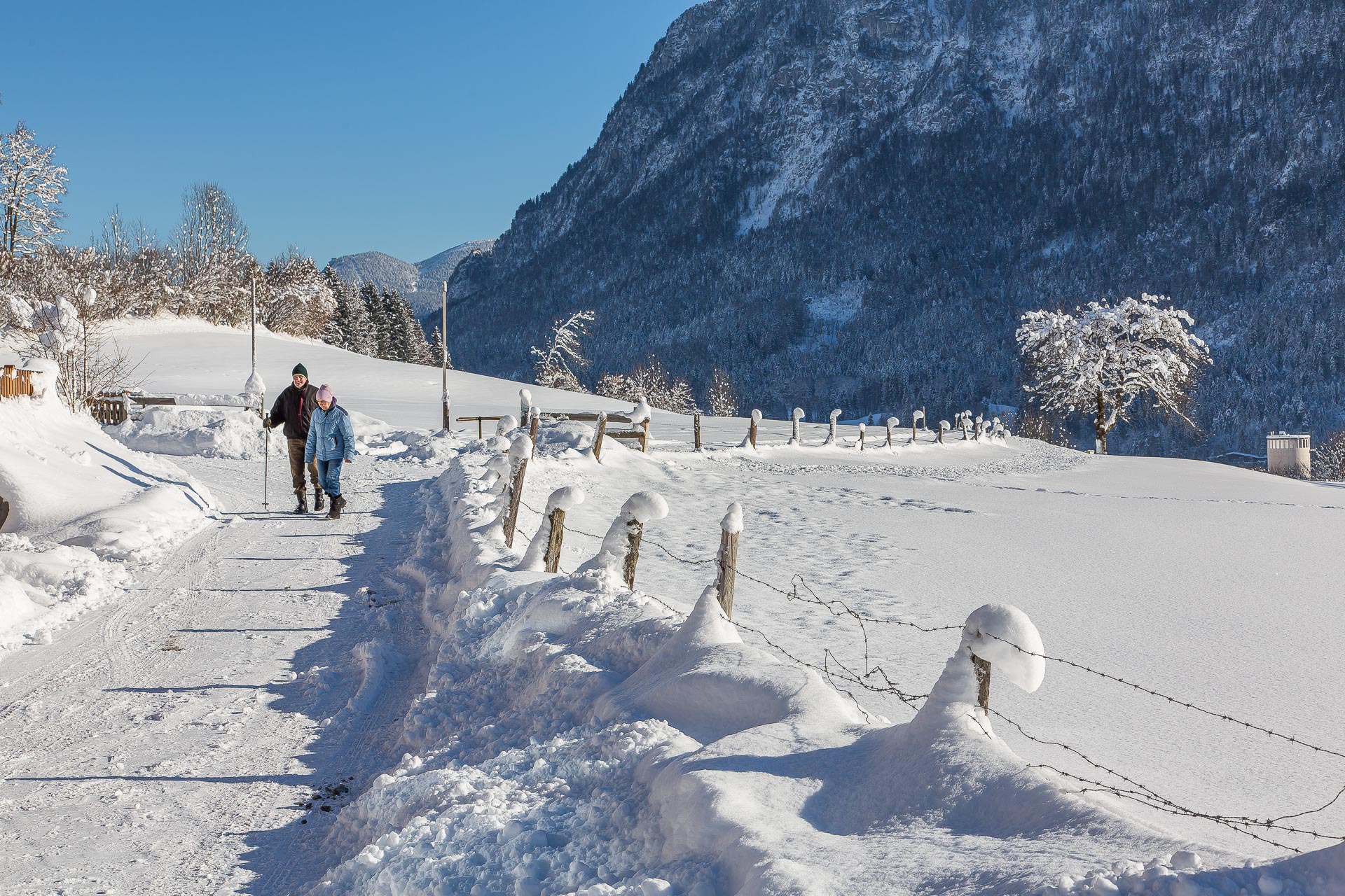 winterwandern4.jpg