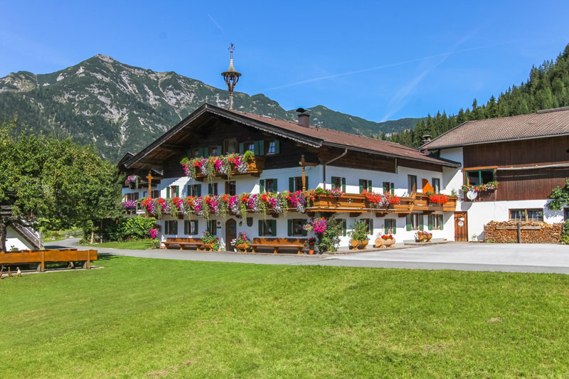 Bergerbauer in Waidring