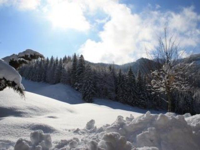 Winterlandschaft Alpengasthof Oberweissbach Tirol
