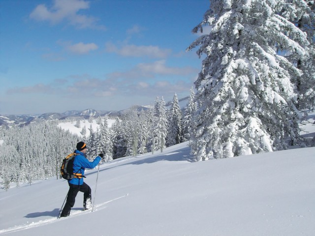 Gasthof Adolari